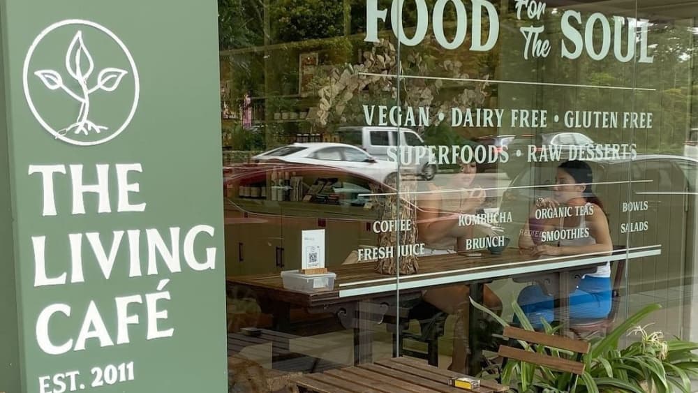 How The Living Café Drove Over 30× ROI from Weekly Emails with Just $30 a Month